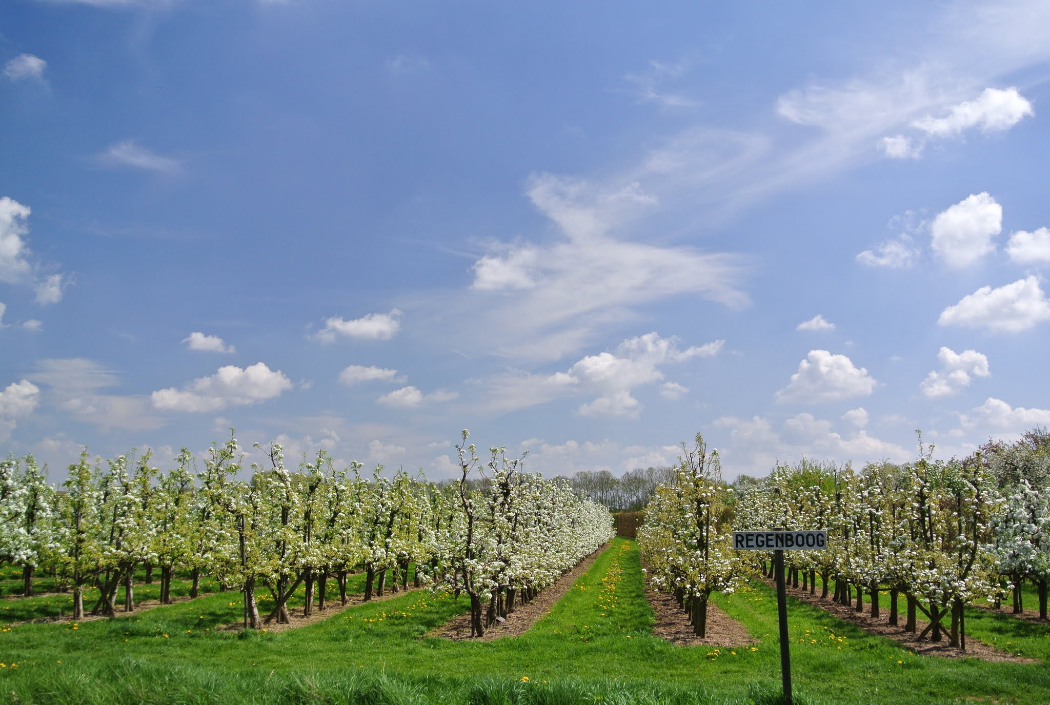 Kesteren, Gelderland