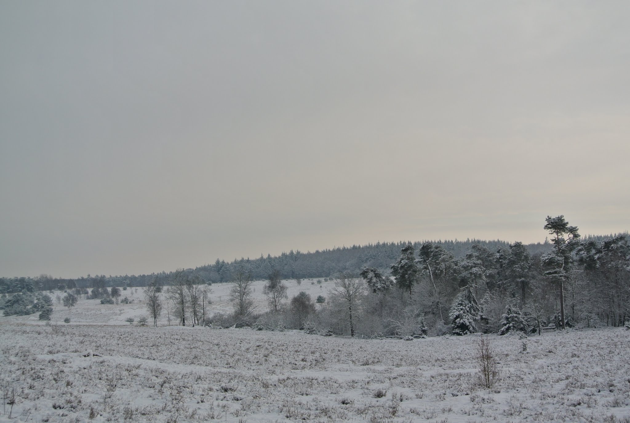 Ugchelen, Gelderland