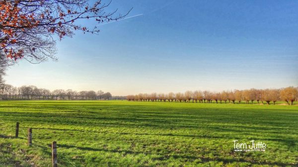 Woudenberg photo 4