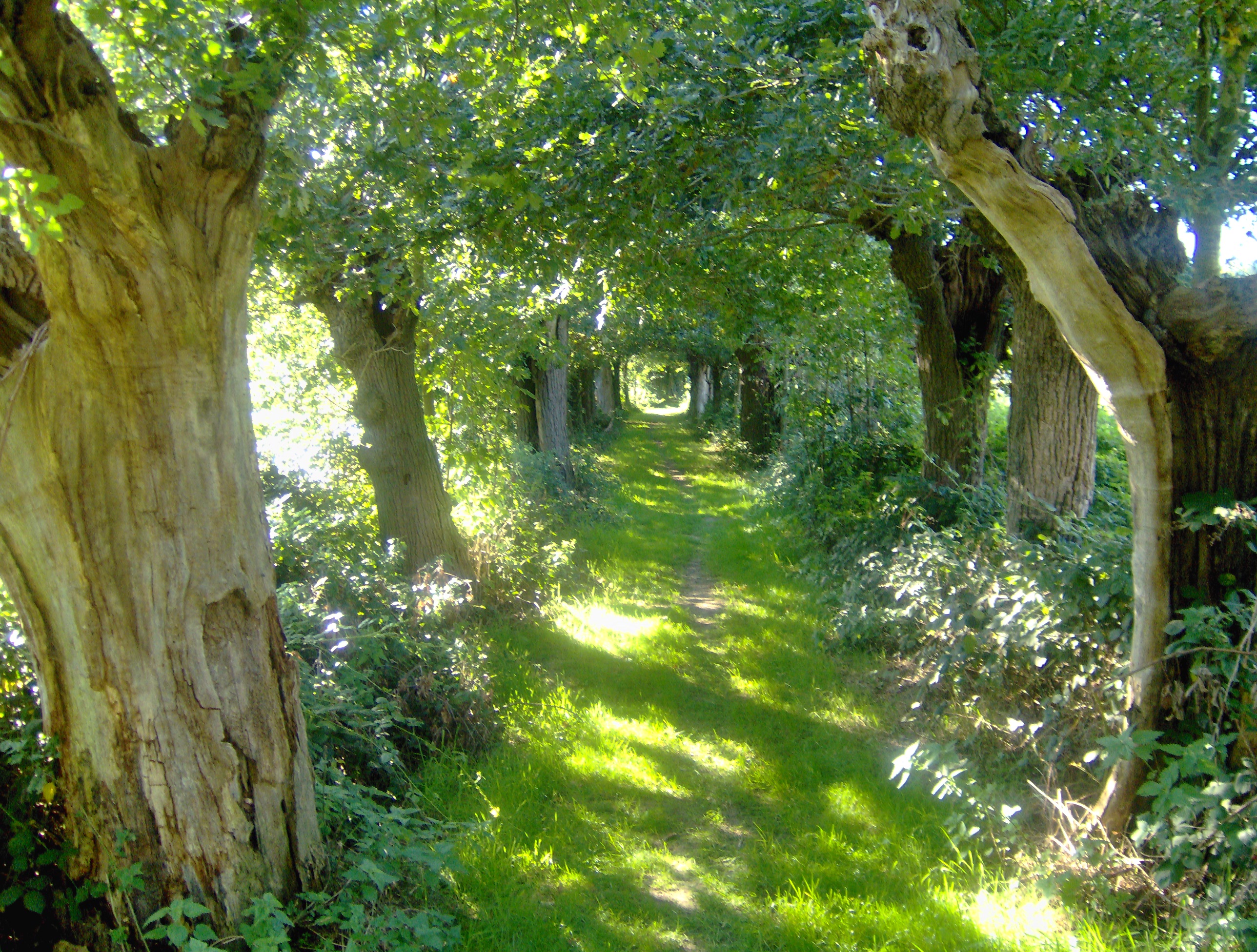 Eibergen photo 4