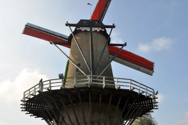 Terheijden photo 3