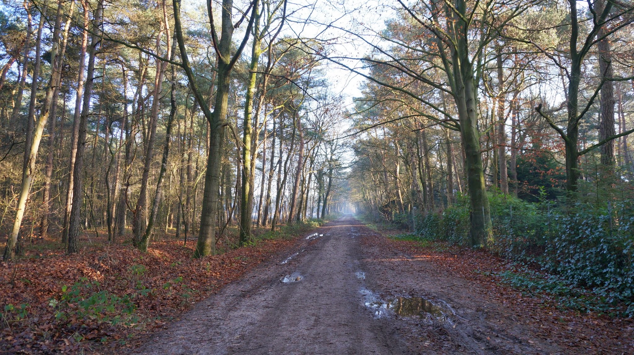 Zelhem photo 3