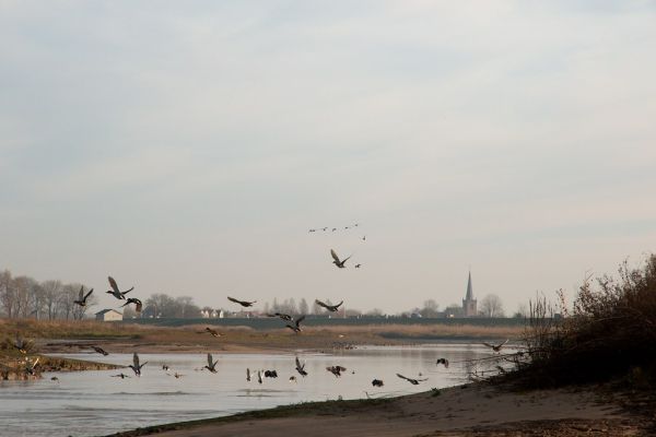 Linschoten photo 4