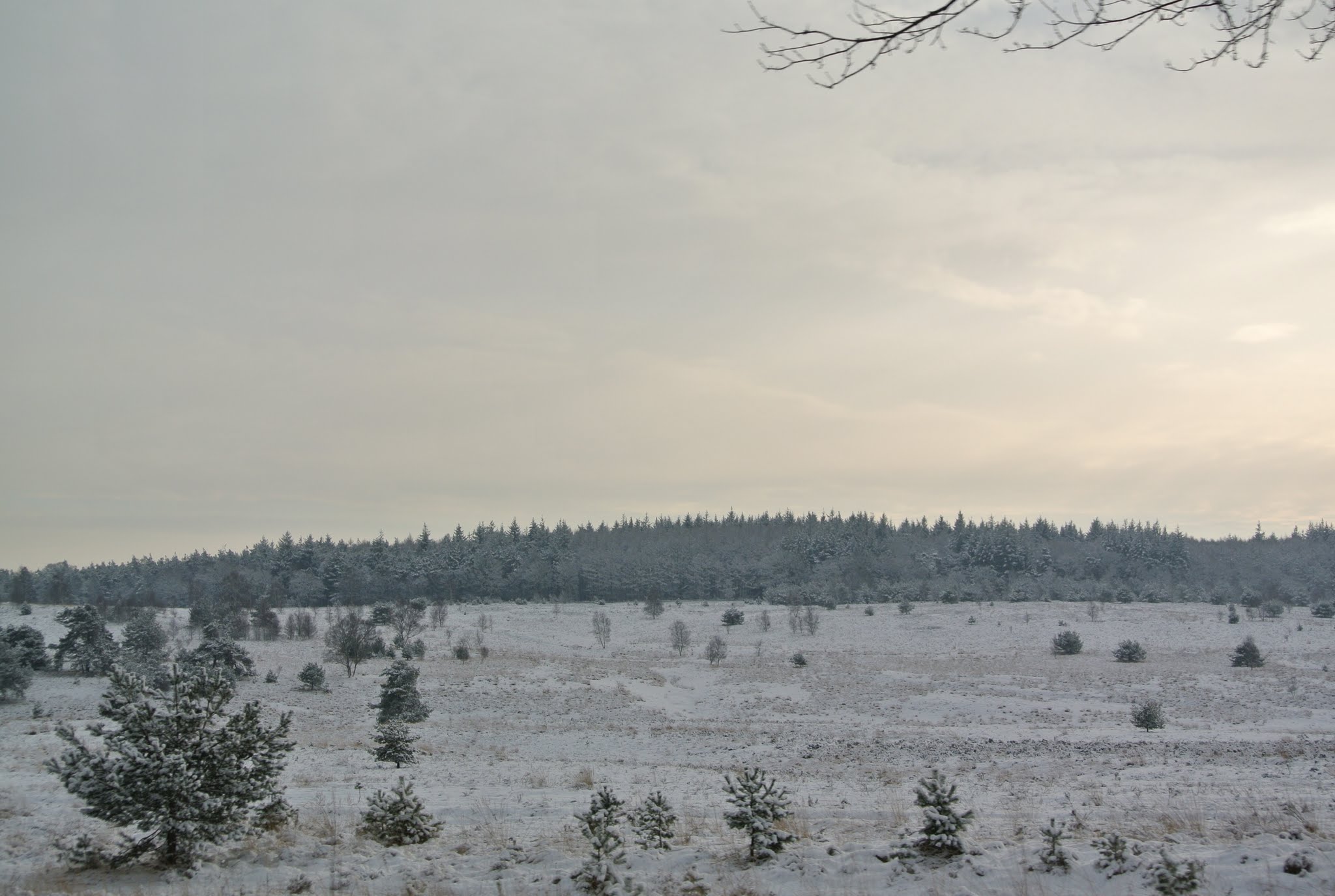 Ugchelen photo 3
