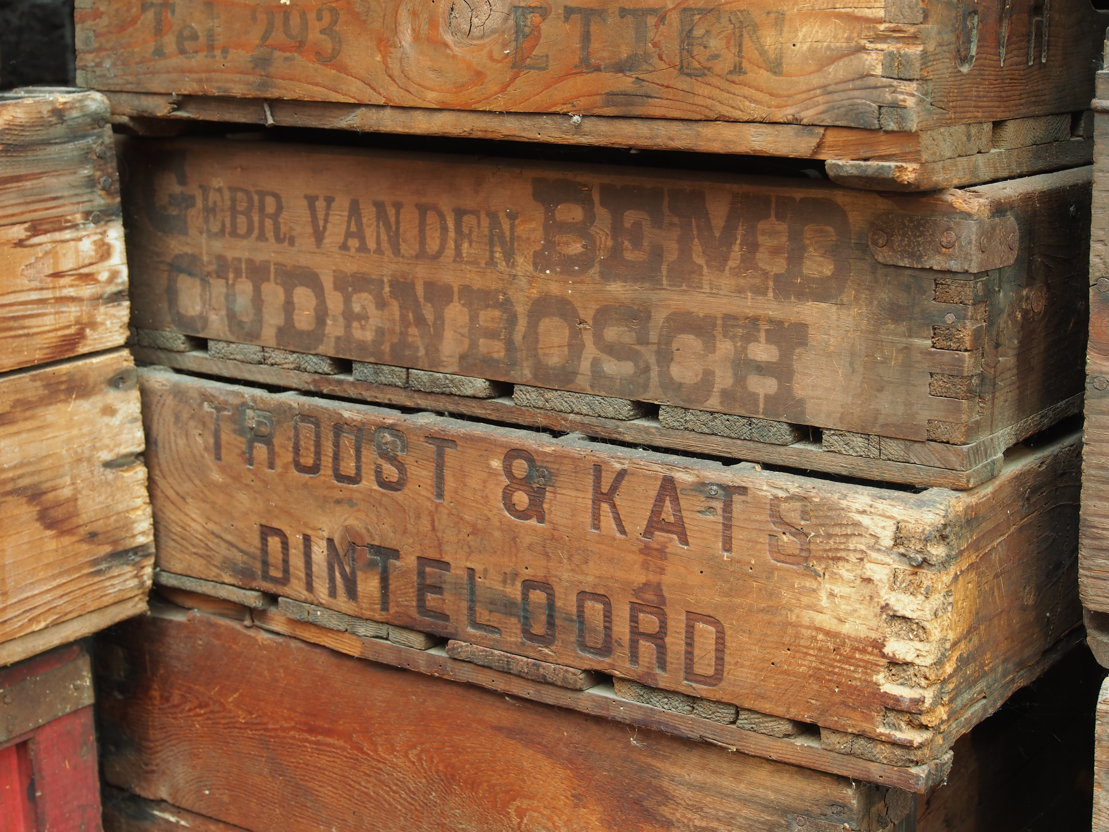 Dinteloord photo 4