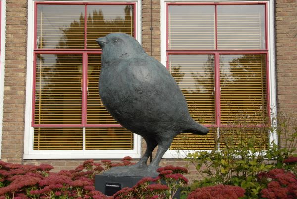 Opmeer photo 2