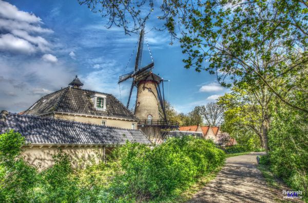 Tholen photo 2