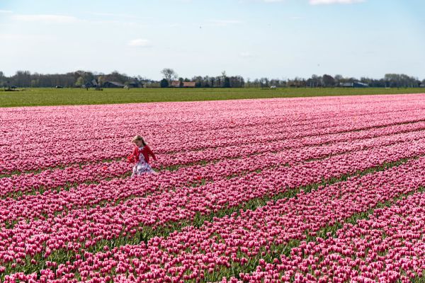 Middenbeemster photo 4