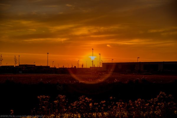 Den Helder photo 4