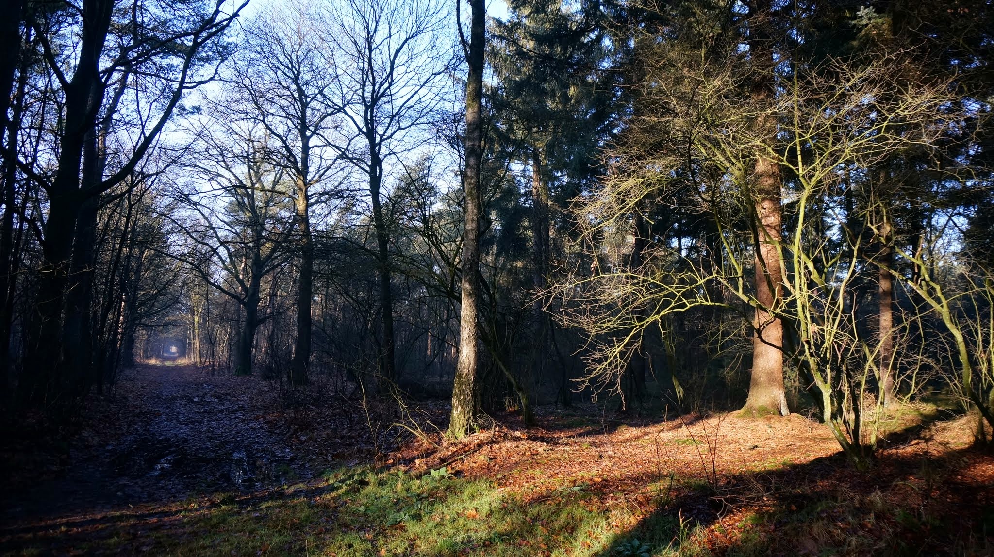 Zelhem photo 2