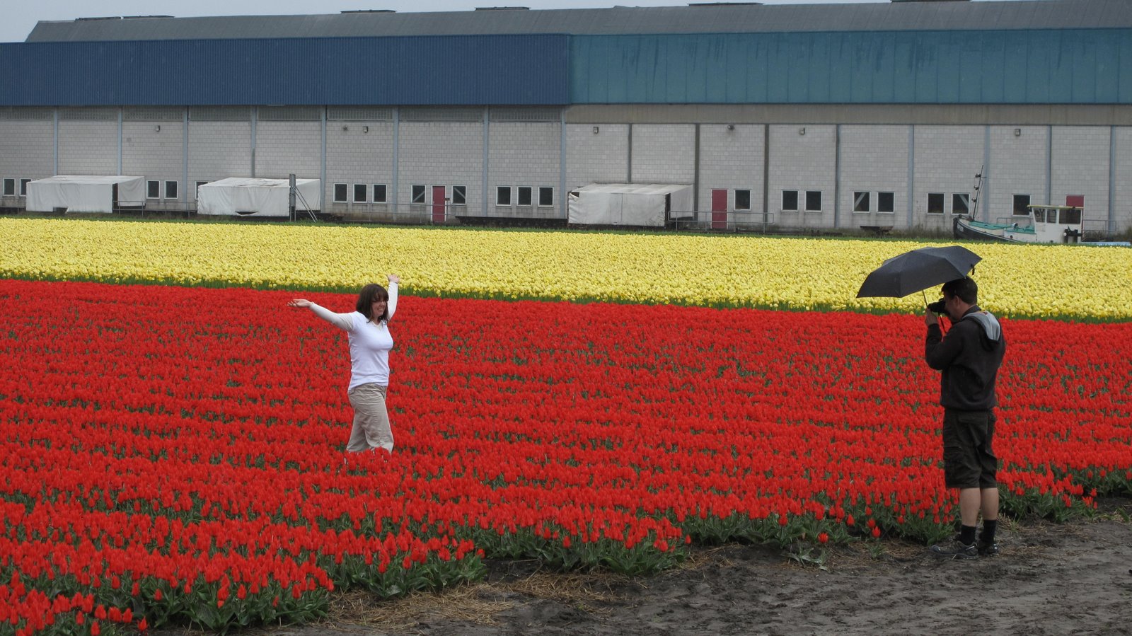 Hillegom, South Holland