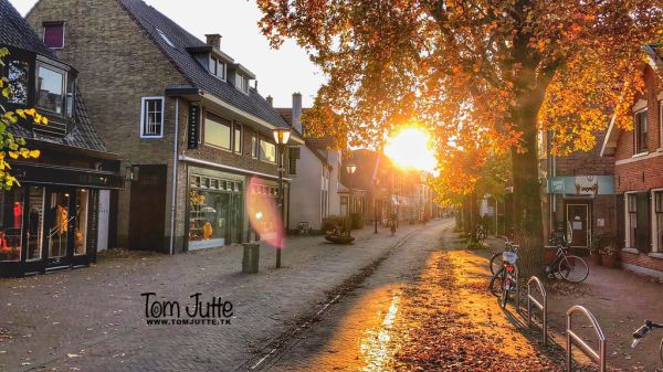 Driebergen-Rijsenburg photo 4