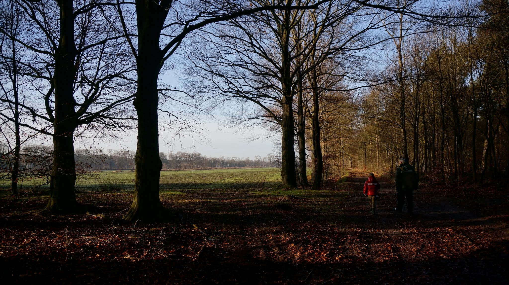 Zelhem photo 4