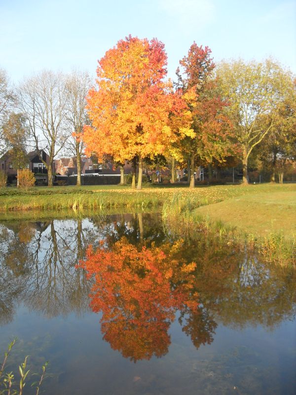 Lichtenvoorde photo 3
