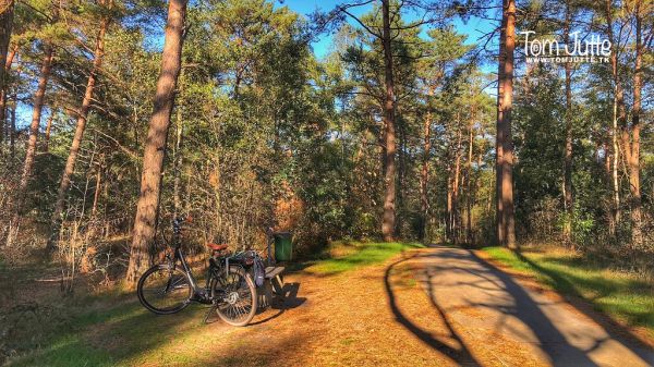 Soest photo 3