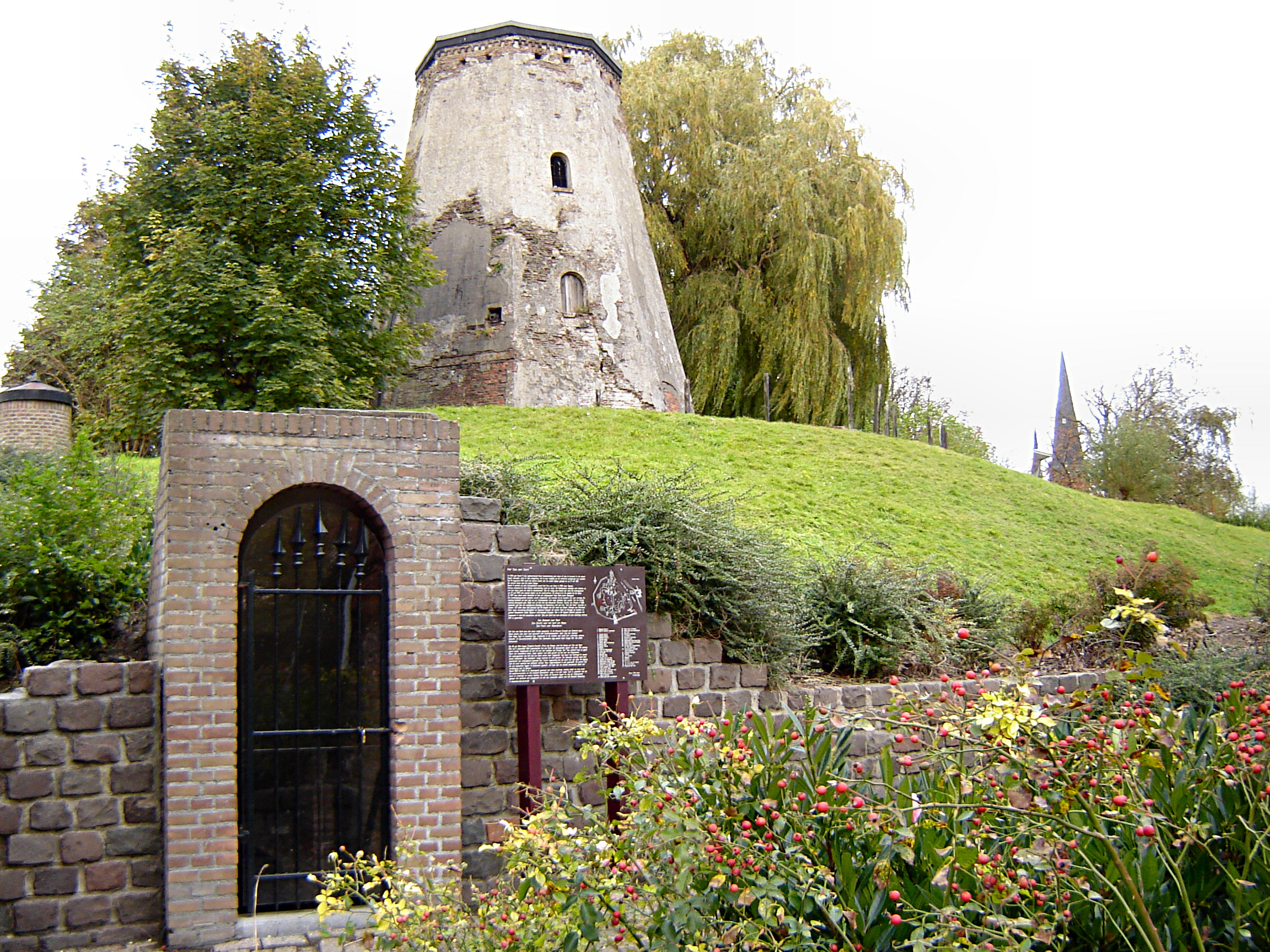 Sas van Gent photo 3