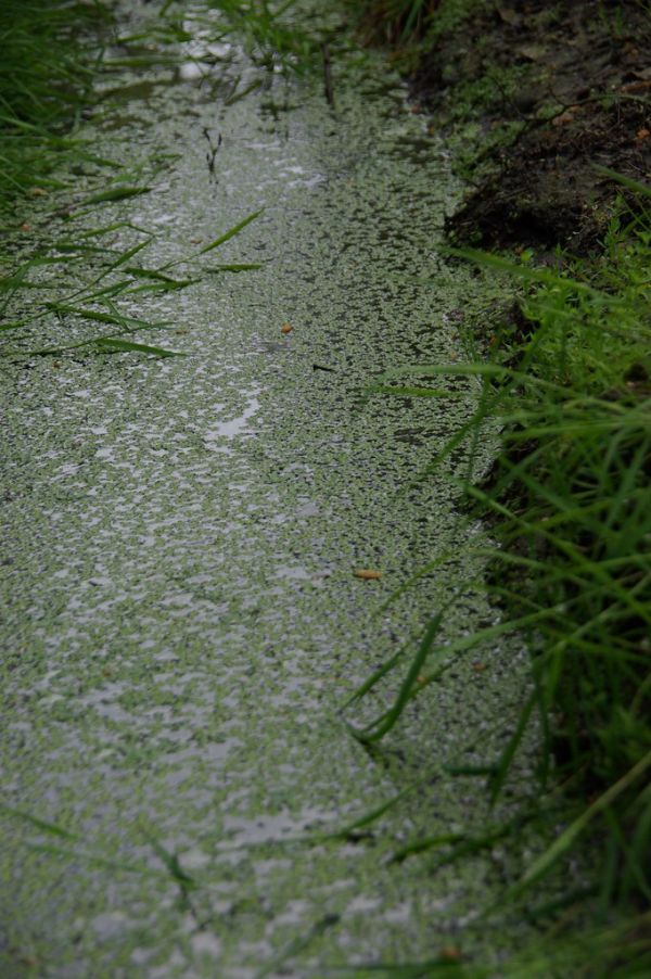 Maarheeze photo 4