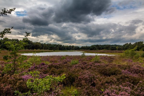 Denekamp photo 2