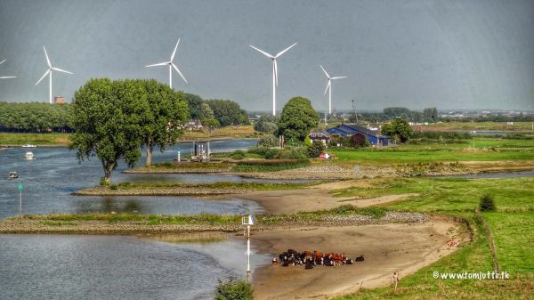 Vianen photo 3