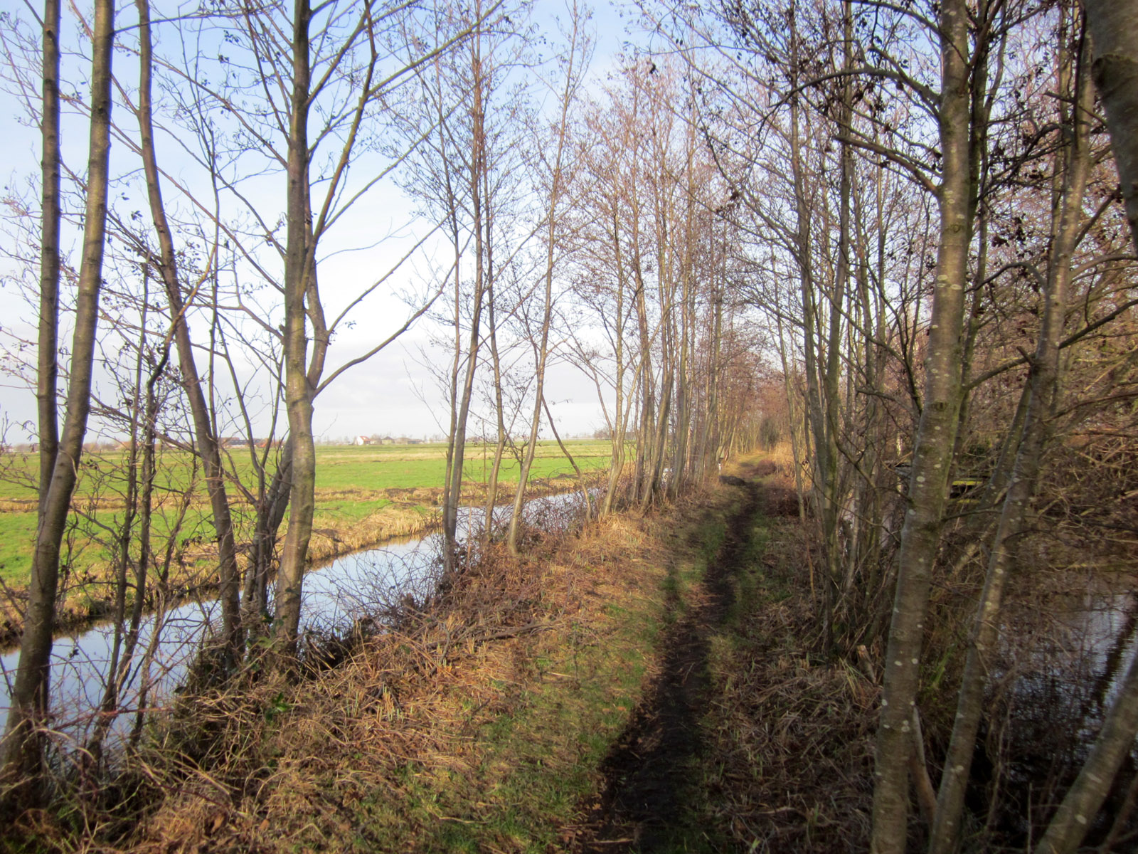 Reeuwijk photo 3