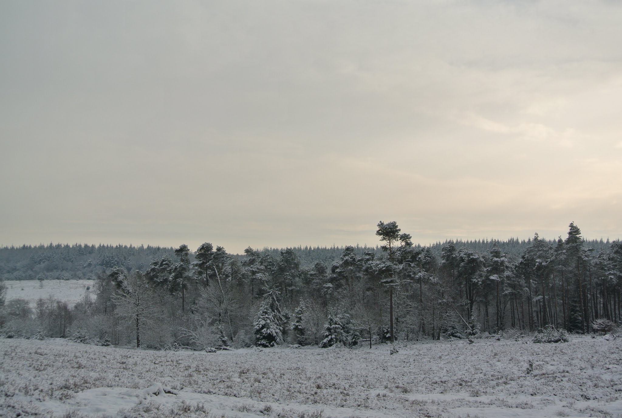 Ugchelen photo 2