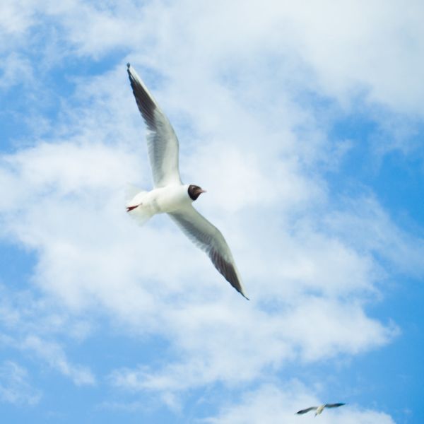Grou photo 4