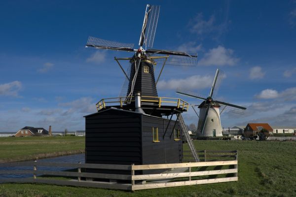 Schipluiden photo 4