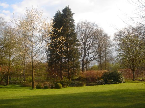 Ommen photo 4