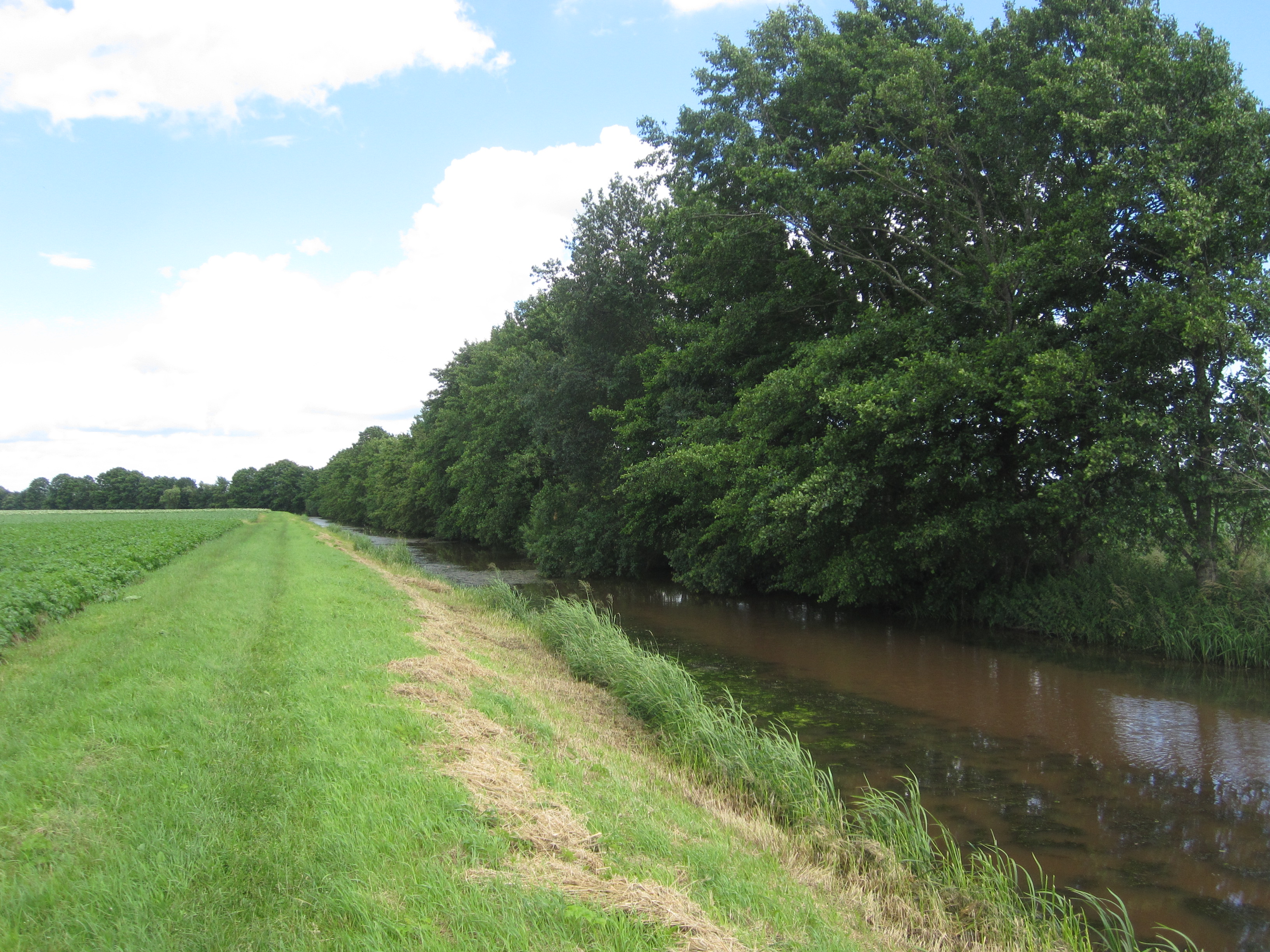 Schoonebeek, Drenthe