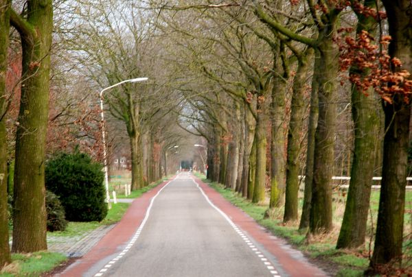 Sint-Oedenrode photo 2