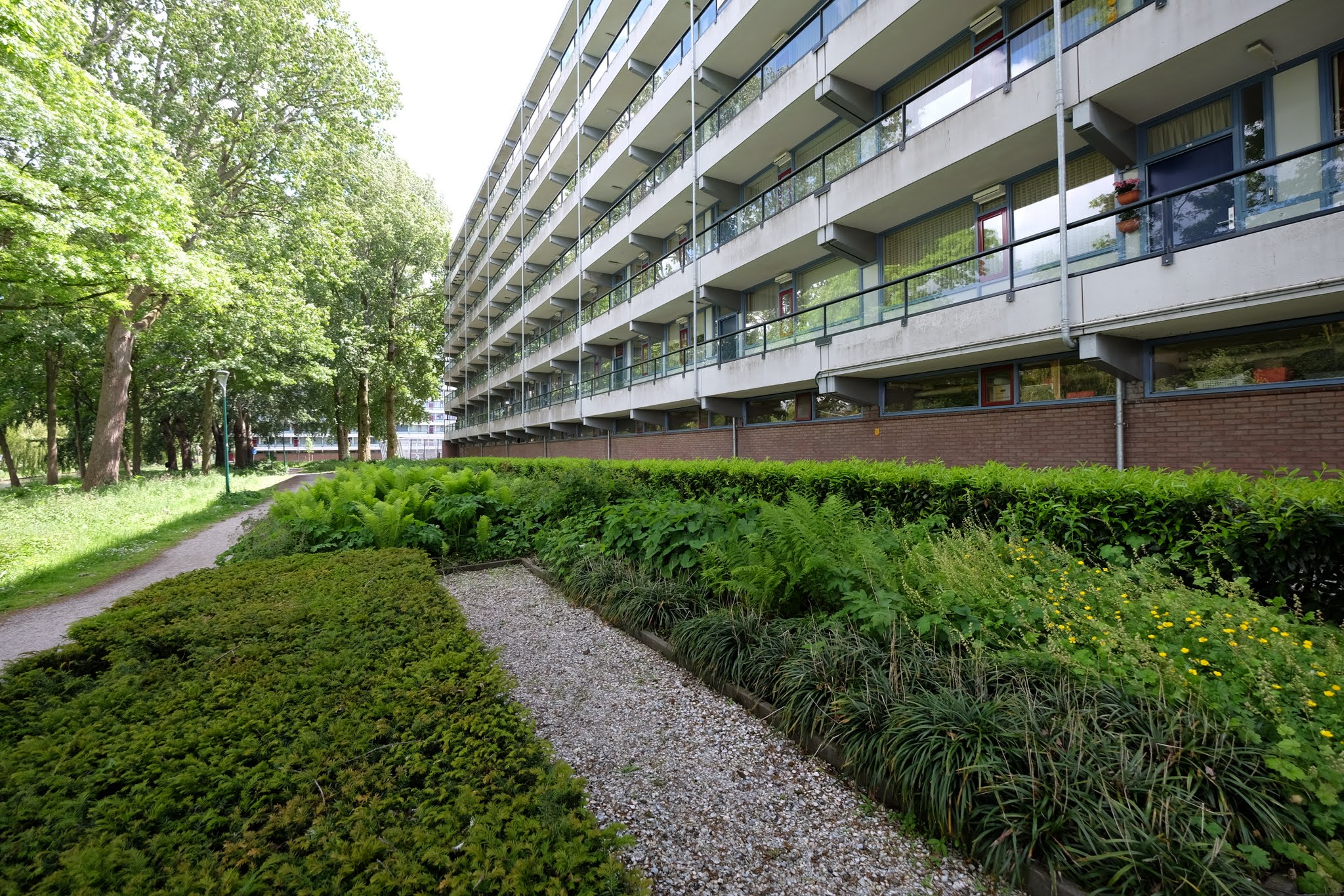 Veenendaal photo 3