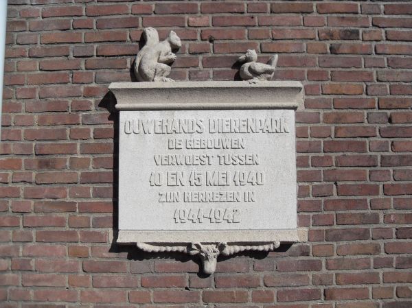 Rhenen photo 4