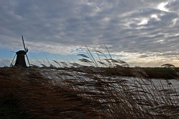 Groot-Ammers photo 2
