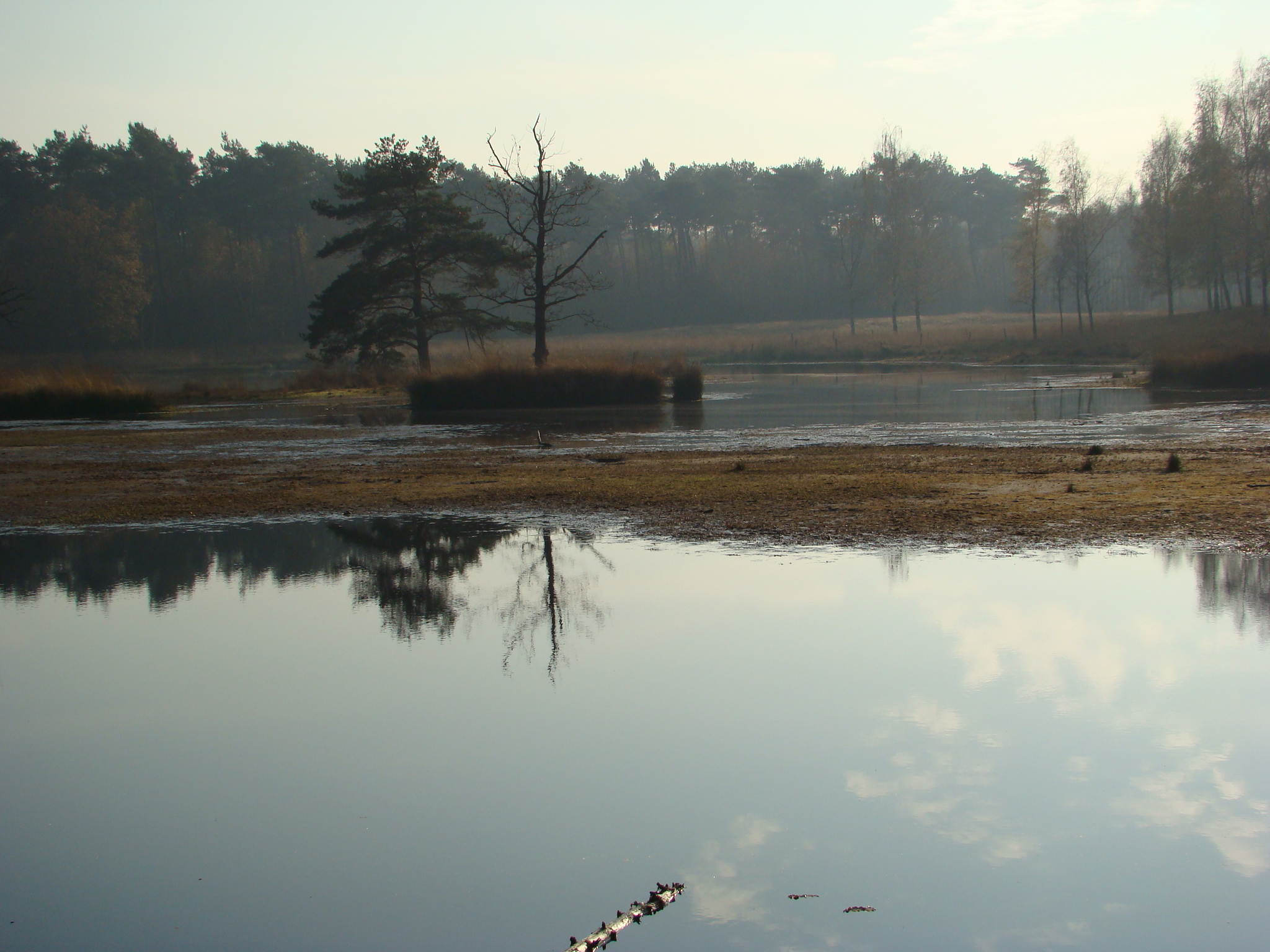 Hoogerheide, North Brabant