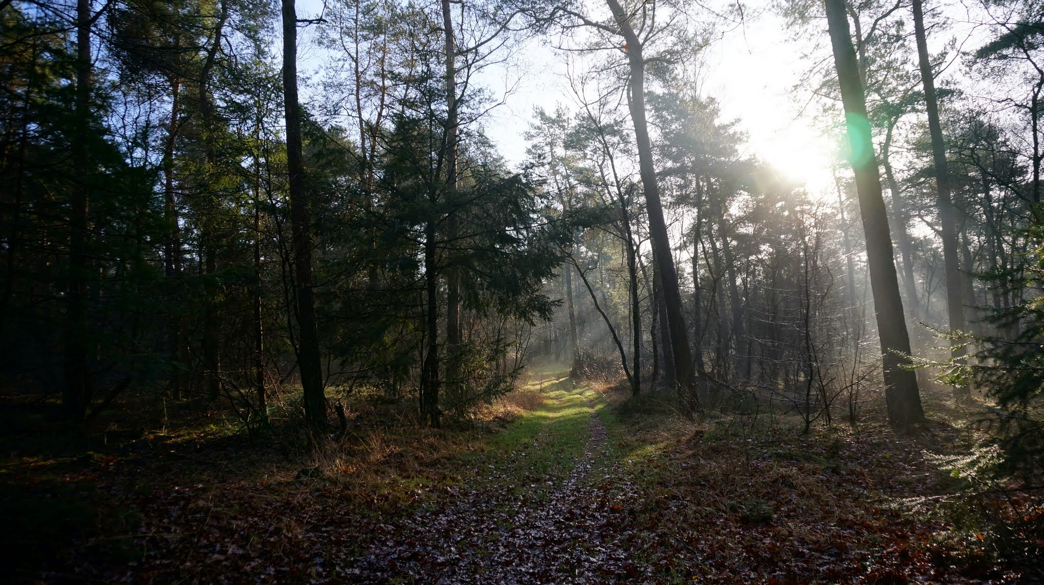Hengelo photo 2