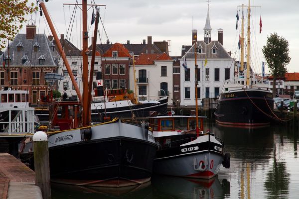 Maasland, South Holland