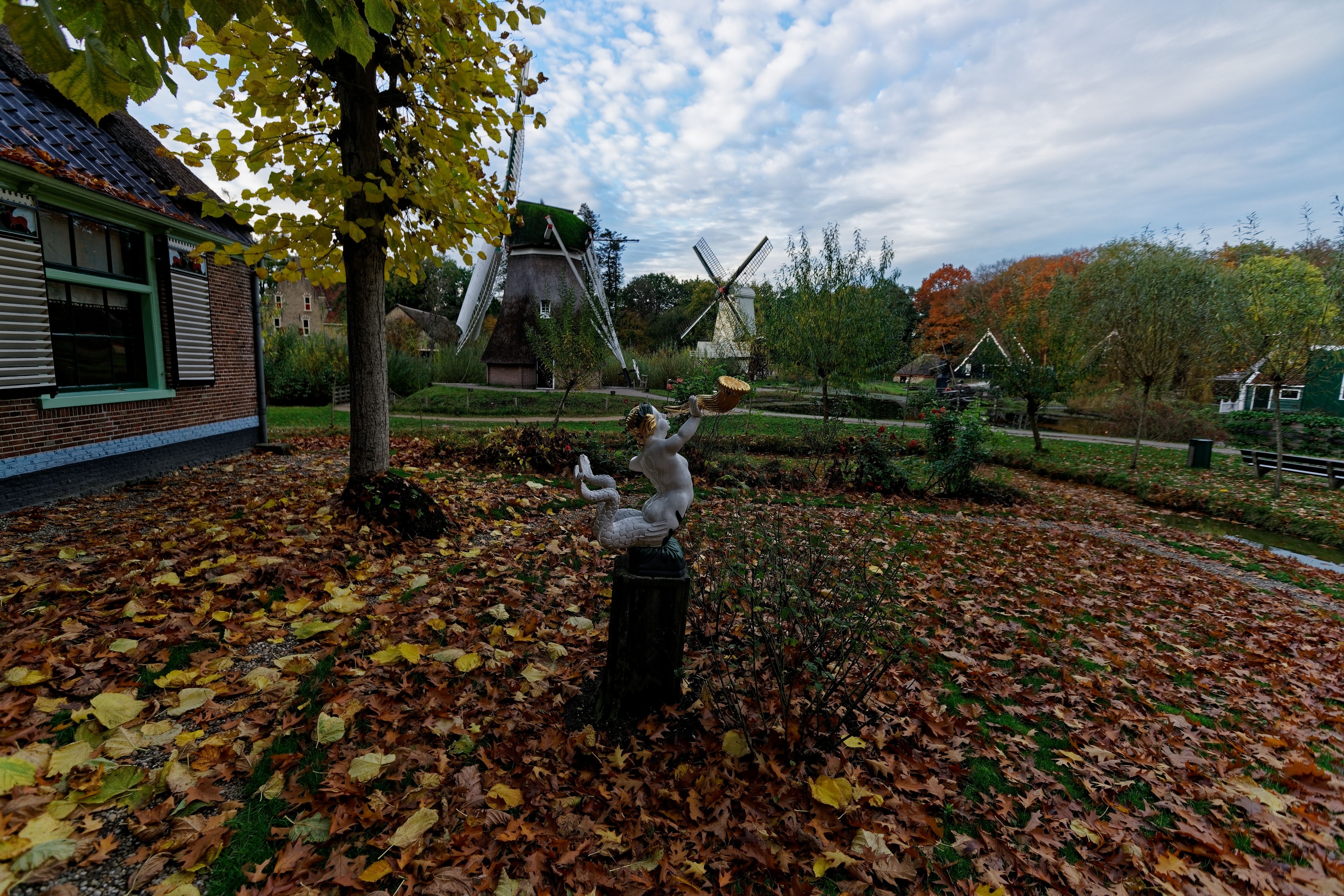Zuid-Scharwoude photo 4