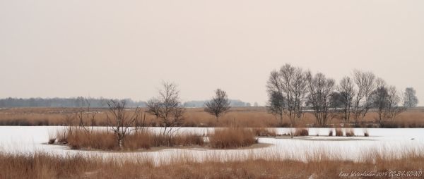 Klazienaveen photo 2