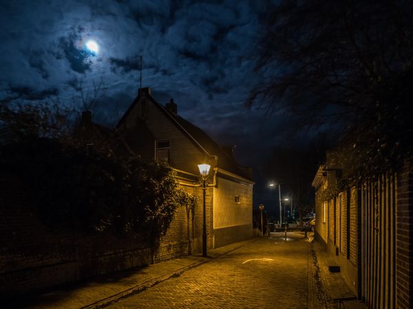 West-Terschelling photo 3