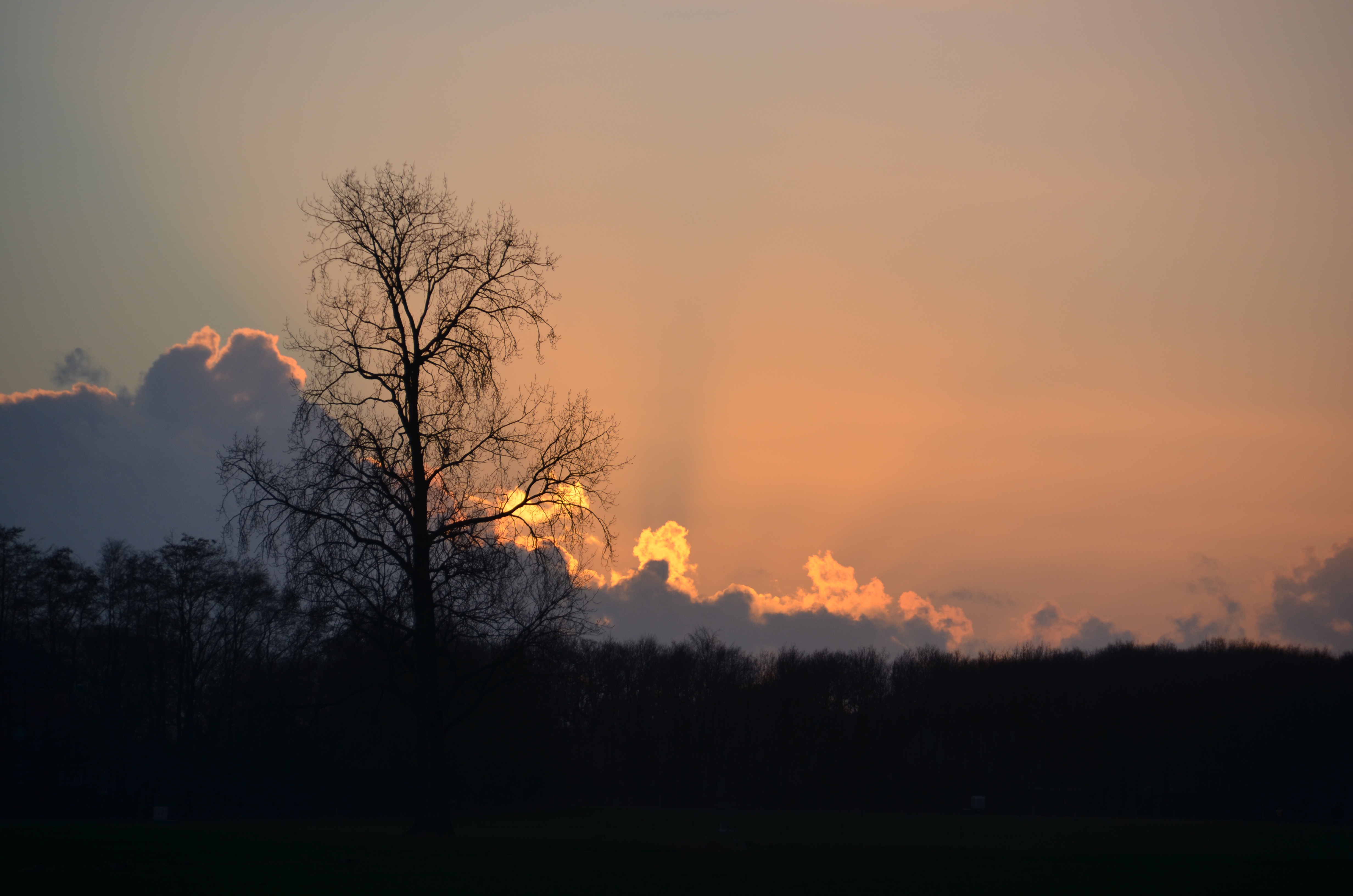 Oosterwolde, Friesland