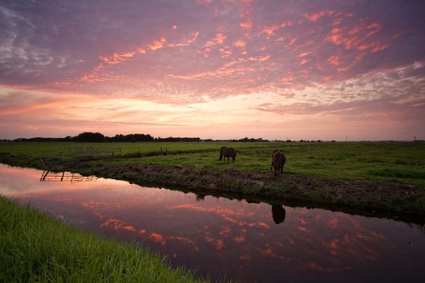 Surhuisterveen photo 2