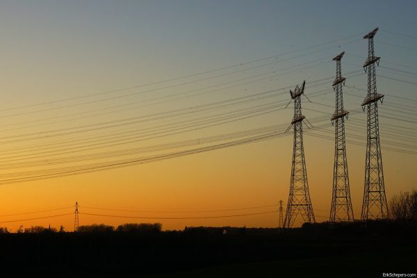 Linne photo 2