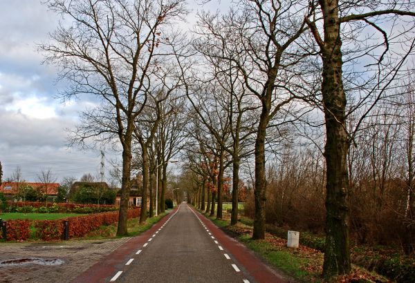 Oirschot photo 2