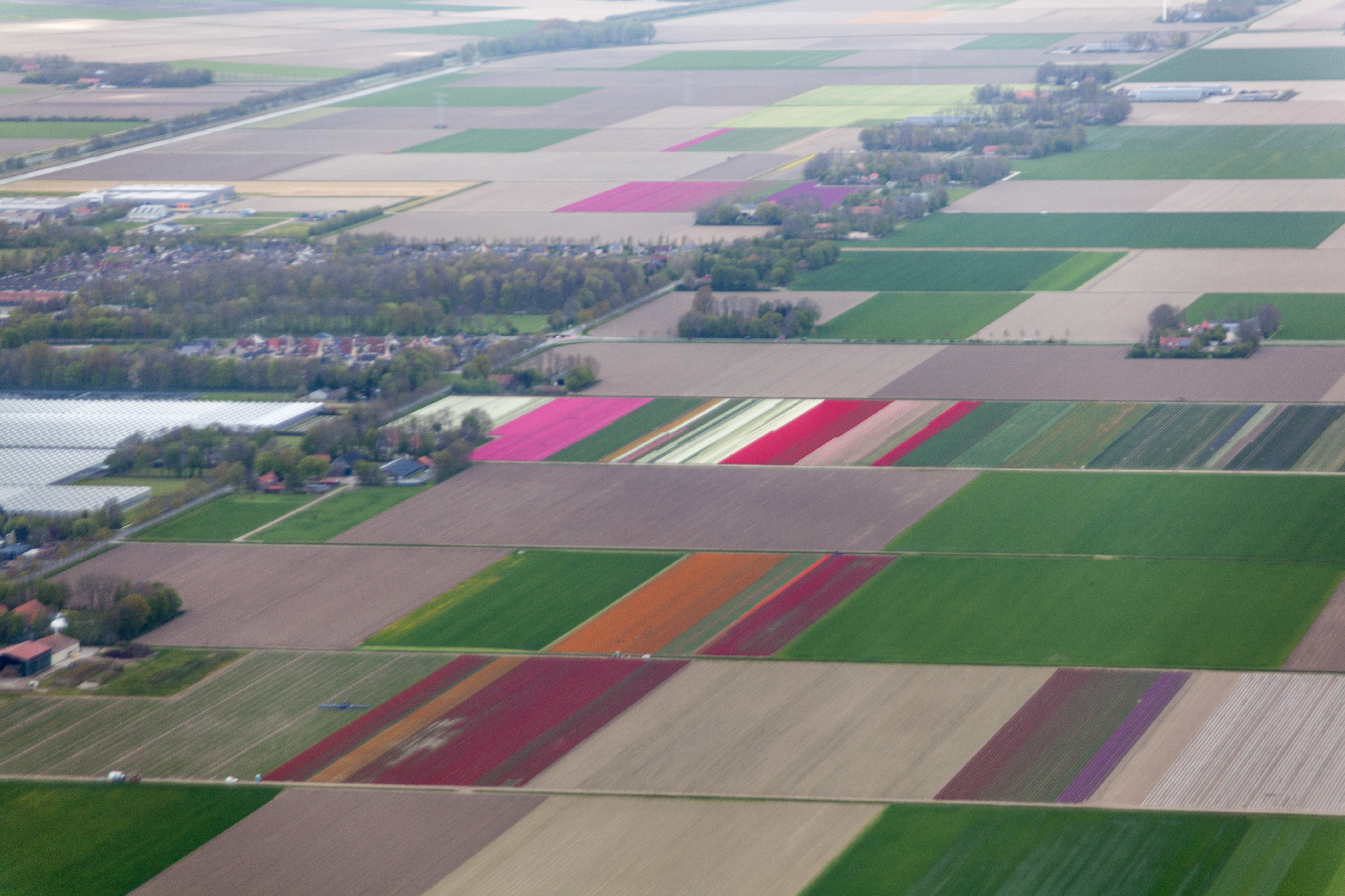 Ens, Flevoland