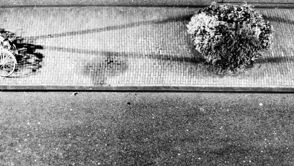 Hoogvliet photo 3