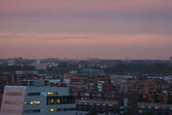 Wormer photo 2