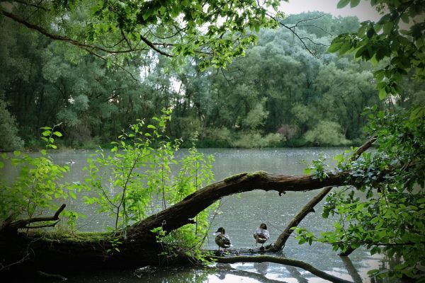 Kerkrade photo 4