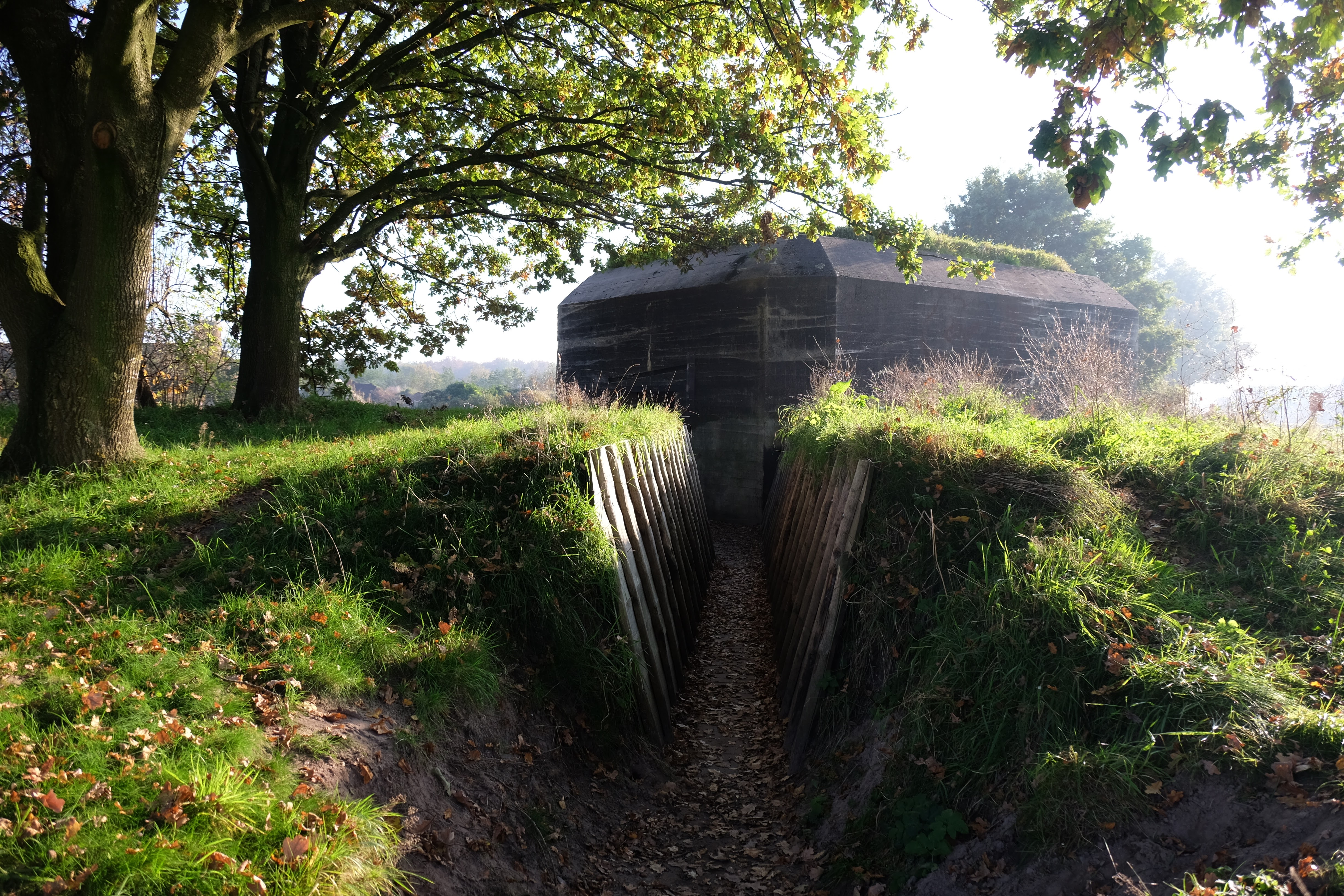 Leusden photo 4