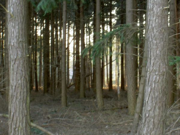 Rucphen photo 3
