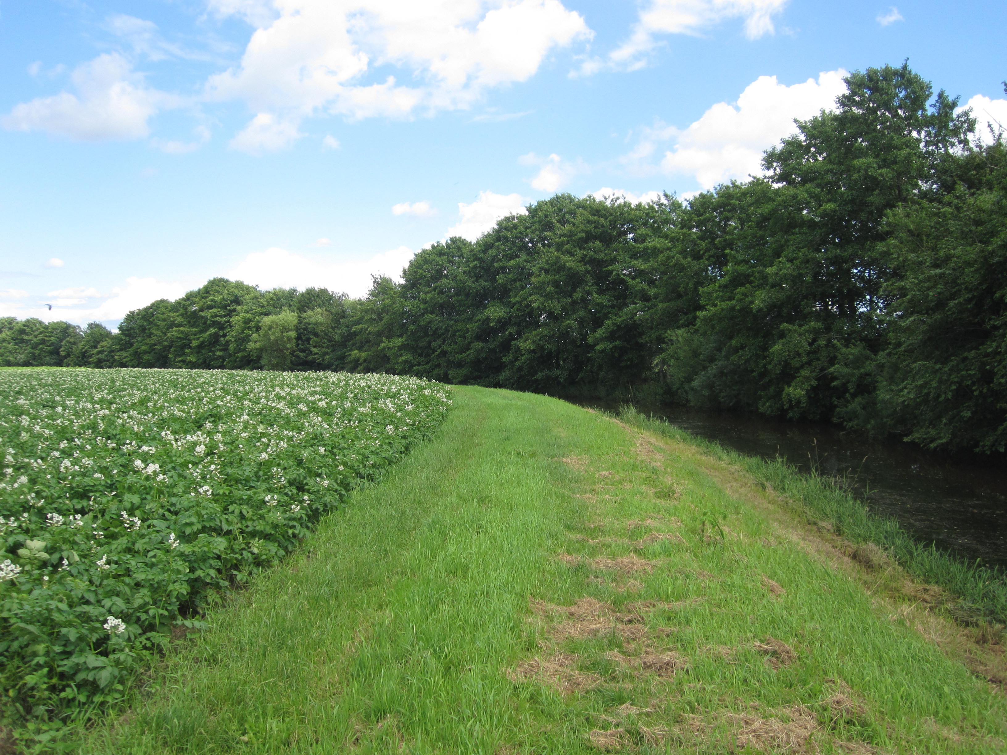 Schoonebeek photo 4
